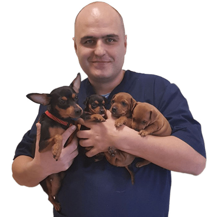 Dr Boran Gajić CEO