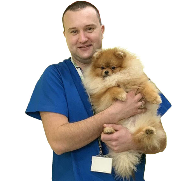 Dr Boško Desnica