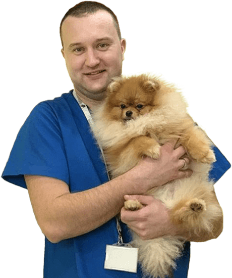 Dr Boško Desnica
